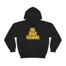 Load image into Gallery viewer, Pronoun Habibi Hoodie