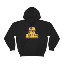 Load image into Gallery viewer, Pronoun Habibi Hoodie