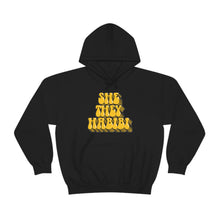 Load image into Gallery viewer, Pronoun Habibi Hoodie