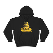 Load image into Gallery viewer, Pronoun Habibi Hoodie